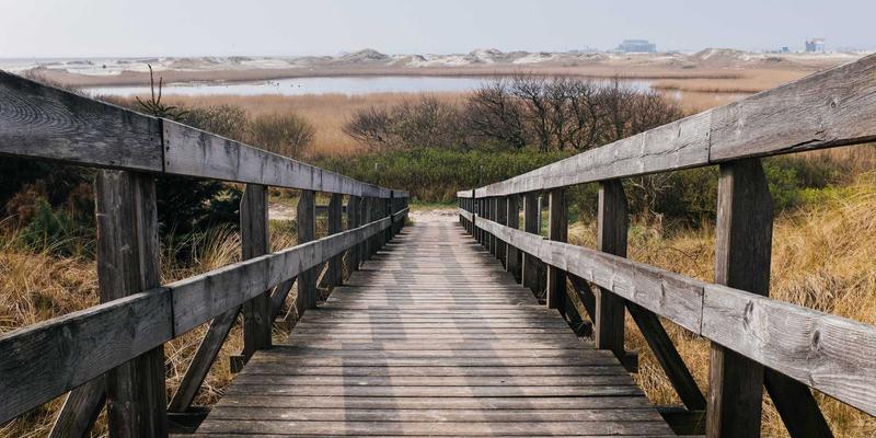 MTTXEW与网络安装：太赫兹通信工程如何重塑6G超高速传输路径