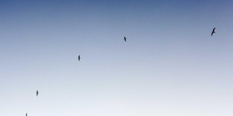 网络安装与维护中的关键技术：自适应滤波与均衡技术深度解析