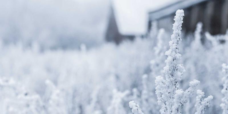网络设计与维护新维度：空分复用技术如何重塑通信工程容量极限