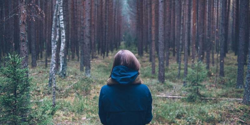 网络设计新维度：空分复用技术如何重塑下一代光传输网络容量与服务部署