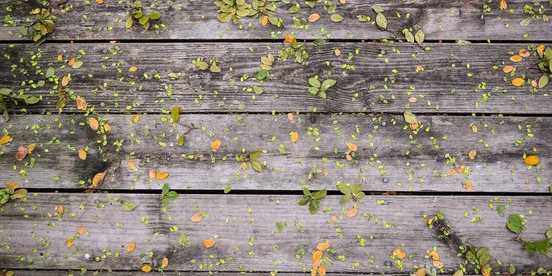 软件定义网络如何重塑网络维护与服务：MTTXEW时代的核心架构