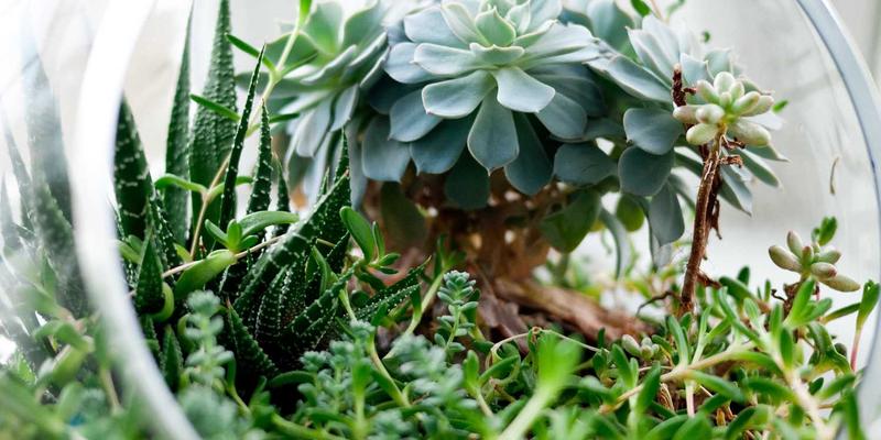 通信工程中的核心支柱:网络设计、安装与服务的协同之道