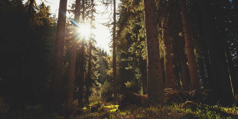 通信工程中的核心支柱:网络设计、服务与维护的协同演进