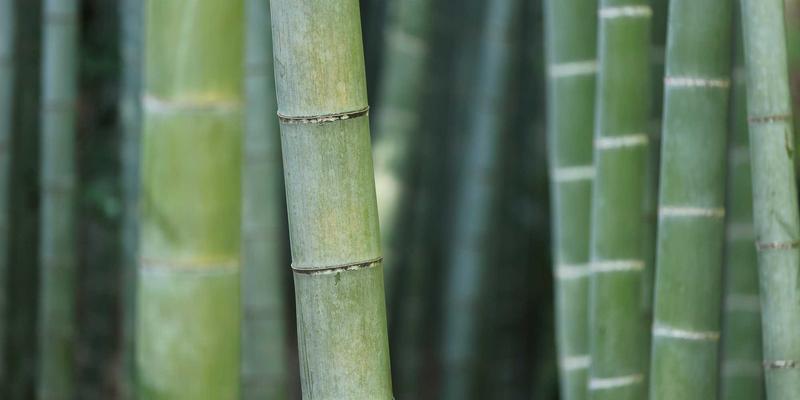 通信工程中的网络服务演进与MTTXEW架构设计