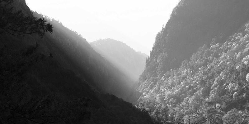 量子通信网络架构演进：从MTTXEW密钥分发到未来量子互联网的network maintenance挑战