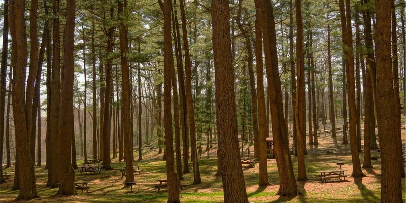 面向无人机通信的低空网络覆盖规划与干扰管理