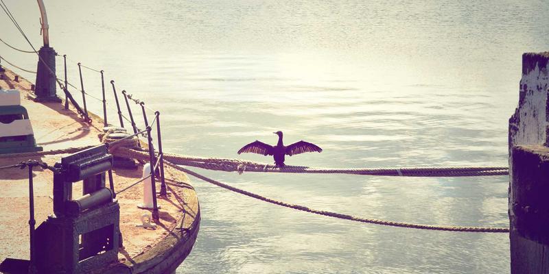 面向智能电网的通信网络可靠性设计与维护方案